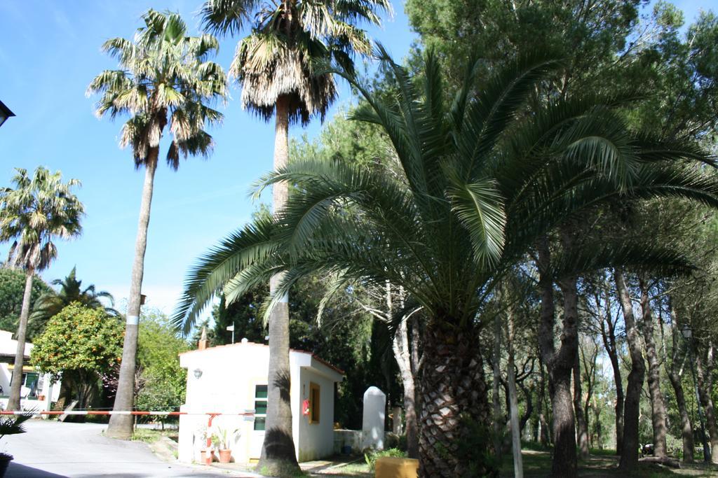 Bungalows Y Glamping Medina Sidonia Buitenkant foto